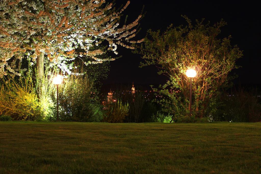 Parkhotel โดเนาเวิร์ท ภายนอก รูปภาพ